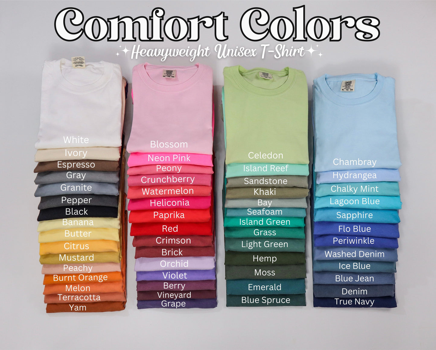 Overstimulated Embroidered t-shirt Comfort Colors