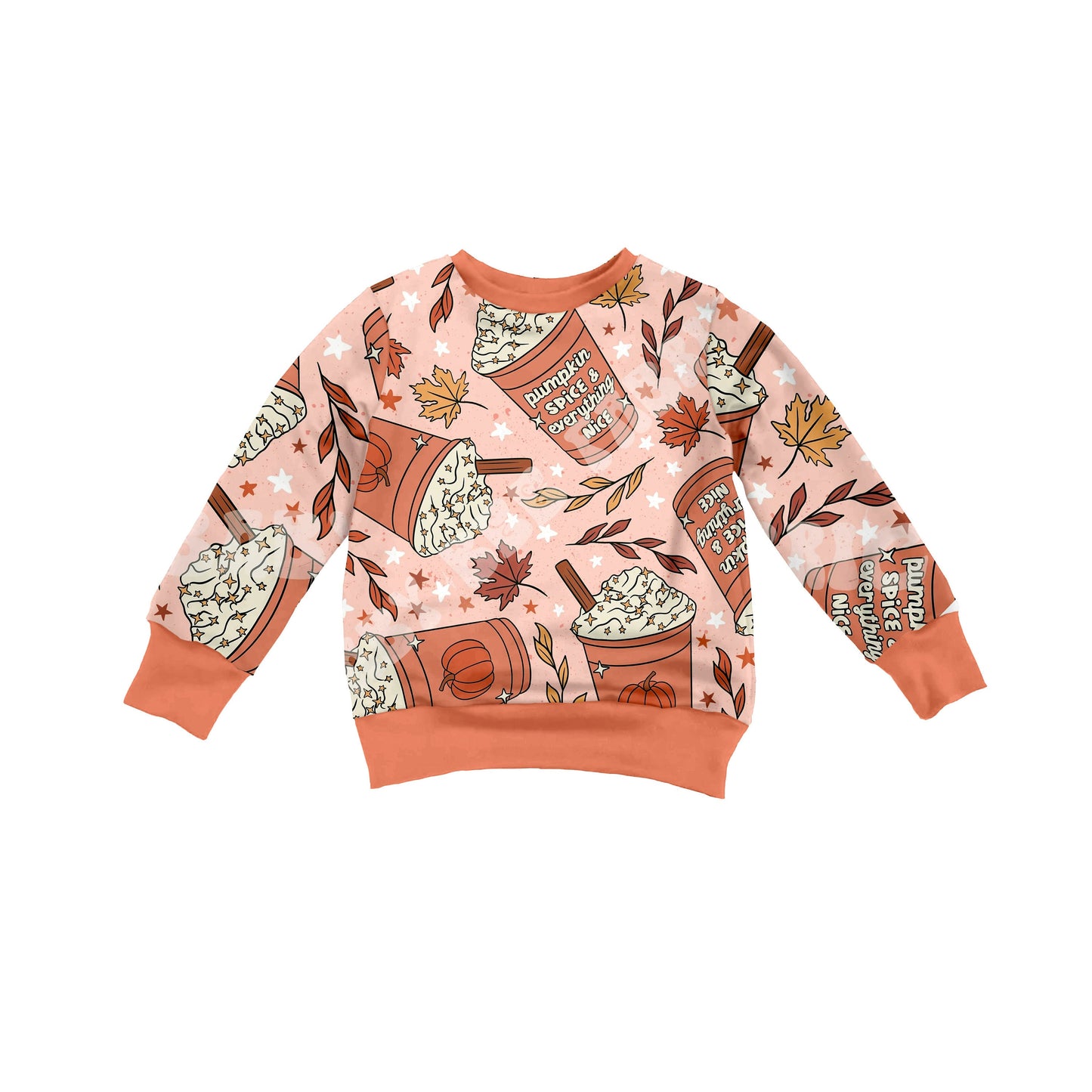 Pumpkin Spice Kids/Baby Fall Sweater